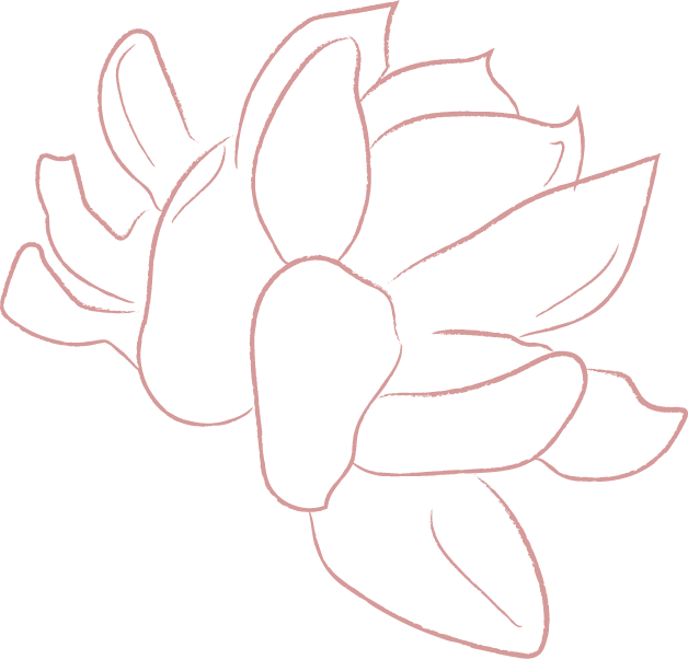 elements line drawing white jasmine flower illustrations FF57E82 2020 06 29 1