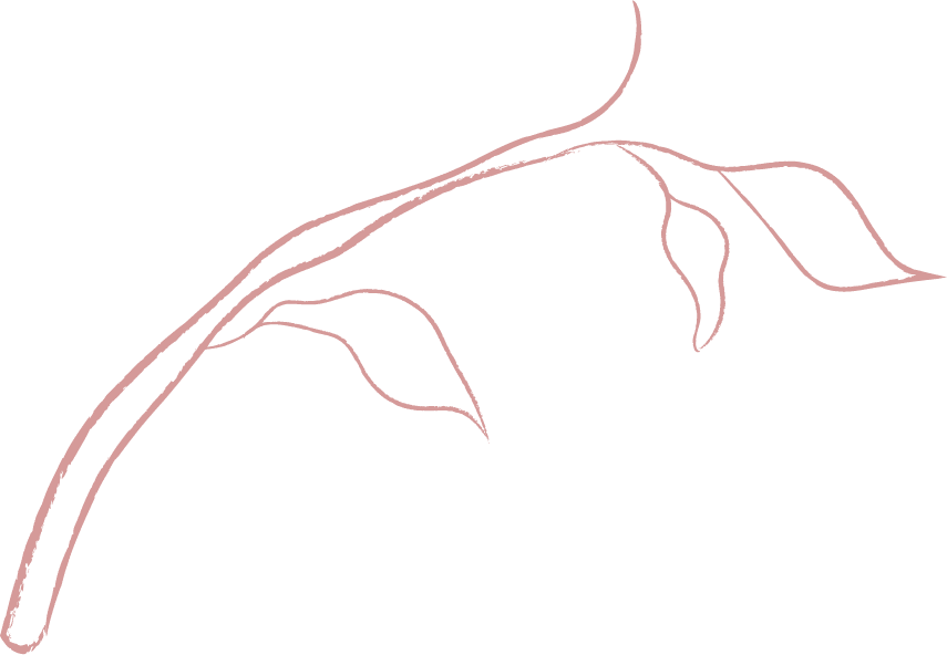 jasmine branch white1